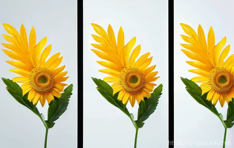 지방공무원 직장 내 갈등 해결 사례 - Here are three detailed image generation prompts in English, adhering to all specified guidelines: